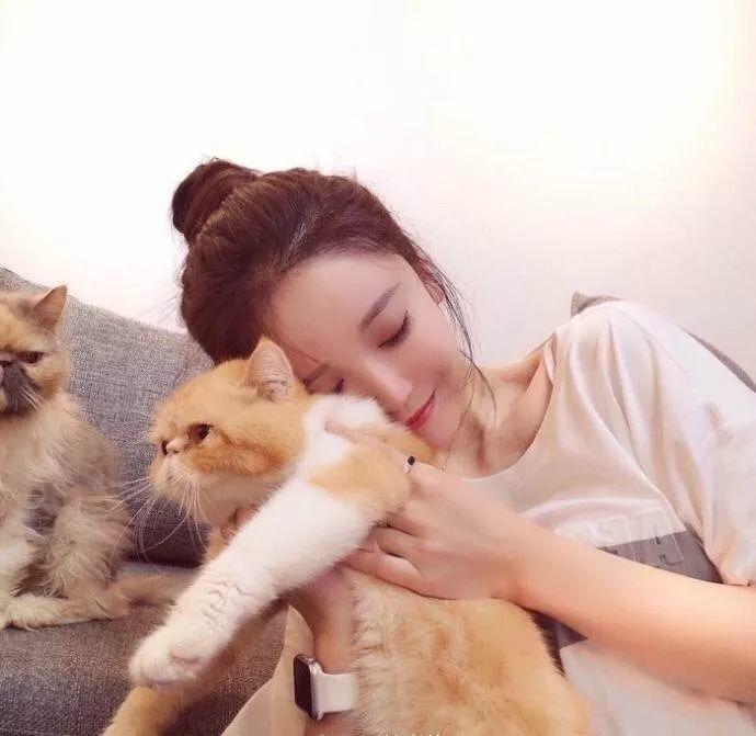 四乃森苍紫（身份：御庭番众前任首领、“天才忍者”） - 独播剧场VIP在线观看 - 在线视频
